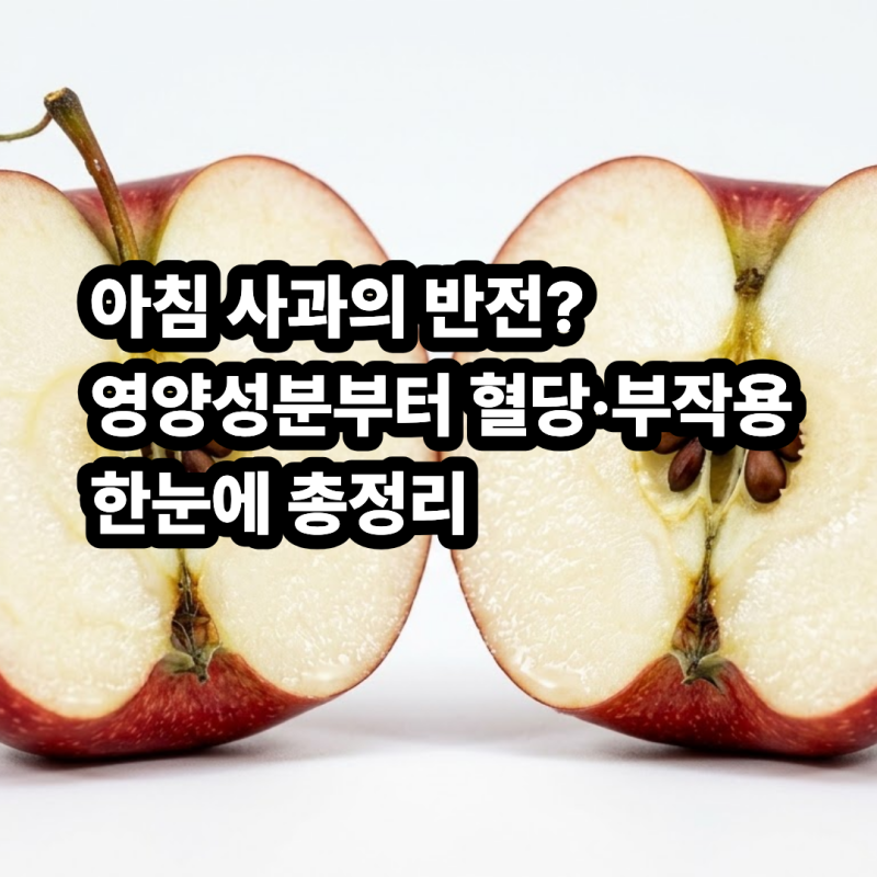 아침 사과 효능과 부작용 정리 영양성분·칼로리부터 다이어트 및 혈당 주의점까지