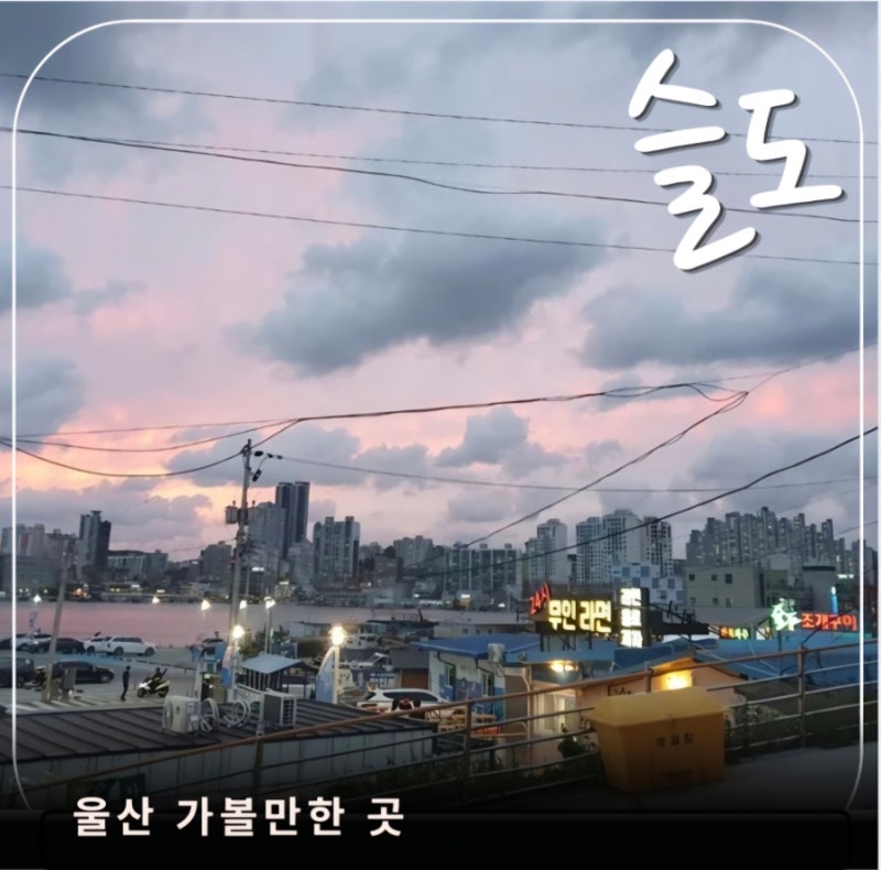 울산 가을 가볼만한 곳, 슬도~대왕암까지 트레킹 다녀왔어요