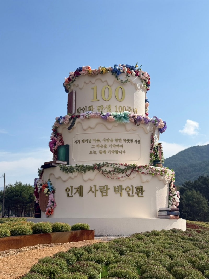 2026 강원도 인제가을꽃축제 (주차, 입장시간, 개화상황, 인제국화축제 총정리)