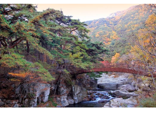 언니네 산지직송3 하동 1박2일 여행코스｜매계마을·섬진강·지리산·광양 맛집·숙소까지