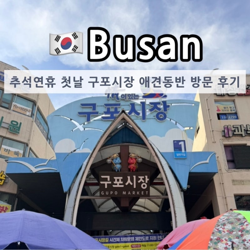 추석 연휴 부산 시장투어 구포시장 애견동반 방문 후기 주차 꿀떡 판매중단(~10/4)