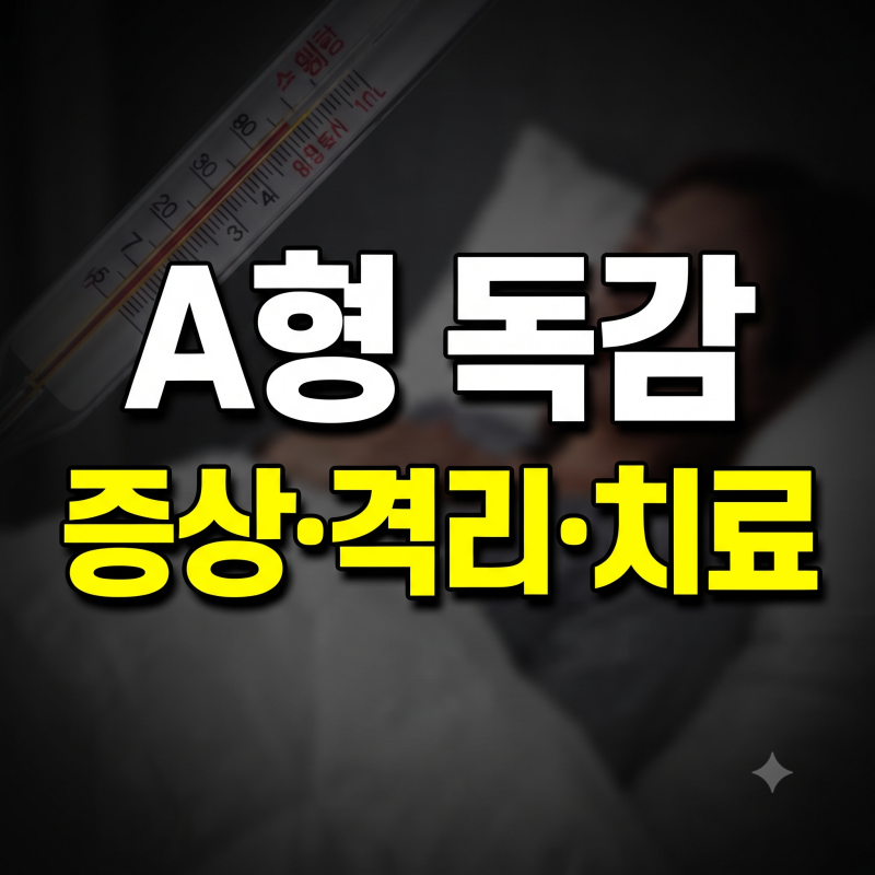 A형 독감 초기 증상 순서와 잠복기: 고열 두통 격리 기간 치료약 총정리