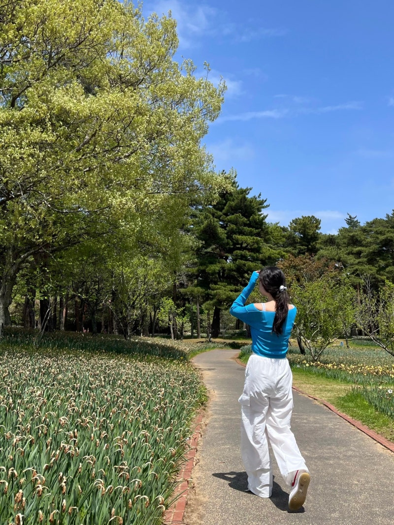 도쿄 근교 소도시 이바라키 2박 3일 여행 (+도쿄 당일치기)
