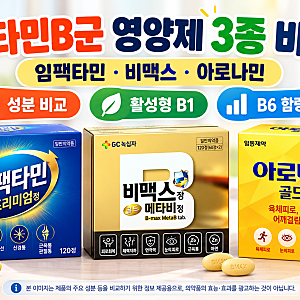 비타민B군 영양제 비교｜임팩타민·비맥스·아로나민 성분 차이