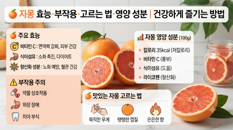 자몽 효능·부작용·고르는 법·영양 성분｜건강하게 즐기는 방법