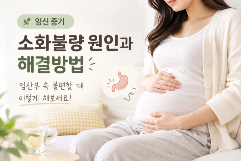 임신 중기 소화불량 원인과 해결방법 , 임산부 속 불편 완화