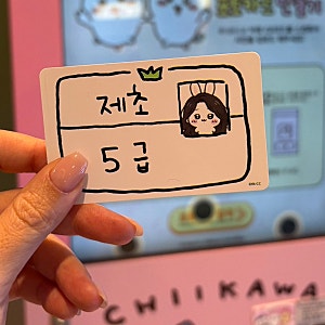 먼작귀 치이카와 제초자격증발급받기 수원ak플라자에서