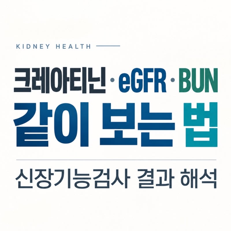 크레아티닌·eGFR·BUN 같이 보는 법｜신장기능검사 결과 해석