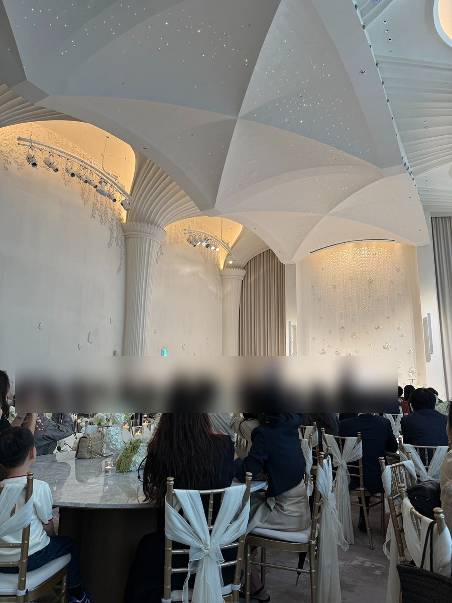 라브르에드니아 사진 3