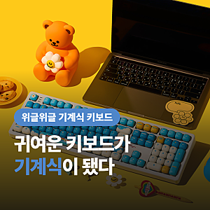 위글위글키보드 기계식 12만원대, “4만원대 무선이랑 뭐가 달라?”