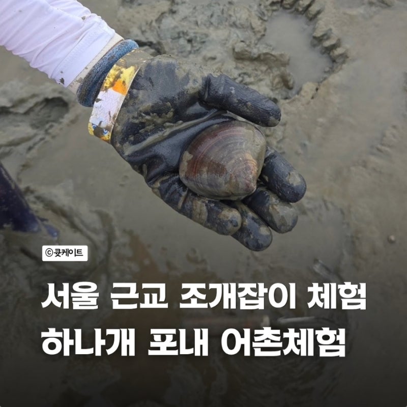 Incheon Clam Digging Near Seoul: Catching Clams at Ponae Mudflat, Hanagae Beach, Muuido Island on a Weekend