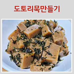 도토리묵 만들기 황금비율! 이것만 알면 쫀득한 도토리묵 만드는 법 보관법