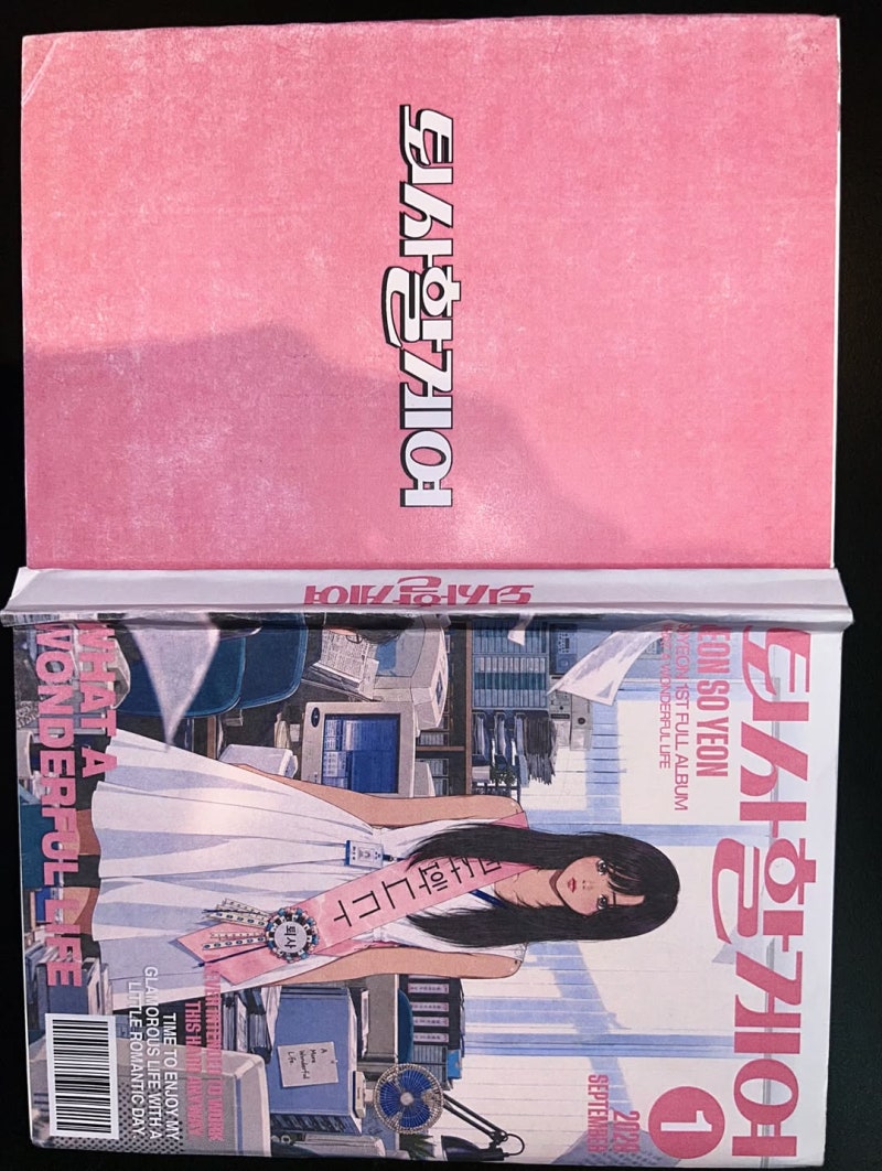 소연 퇴사할게여 왜 인기일까? 직장인 공감송 가사 의미 정리