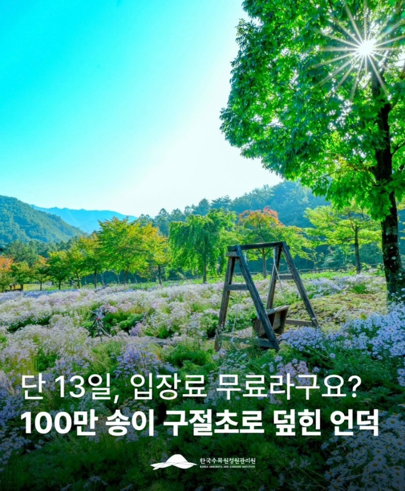 경북 가을 여행 봉화 가볼만한곳 국립백두대간 수목원 구절초축제 무료개장