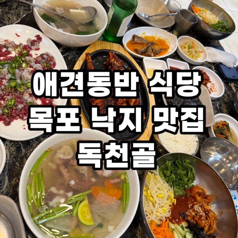 목포 낙지 맛집 독천골 애견동반 식당 솔직후기