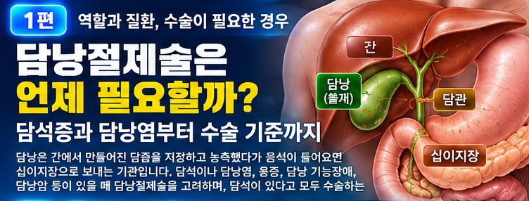 담낭절제술 언제 필요할까 담석증과 담낭염부터 수술 기준까지