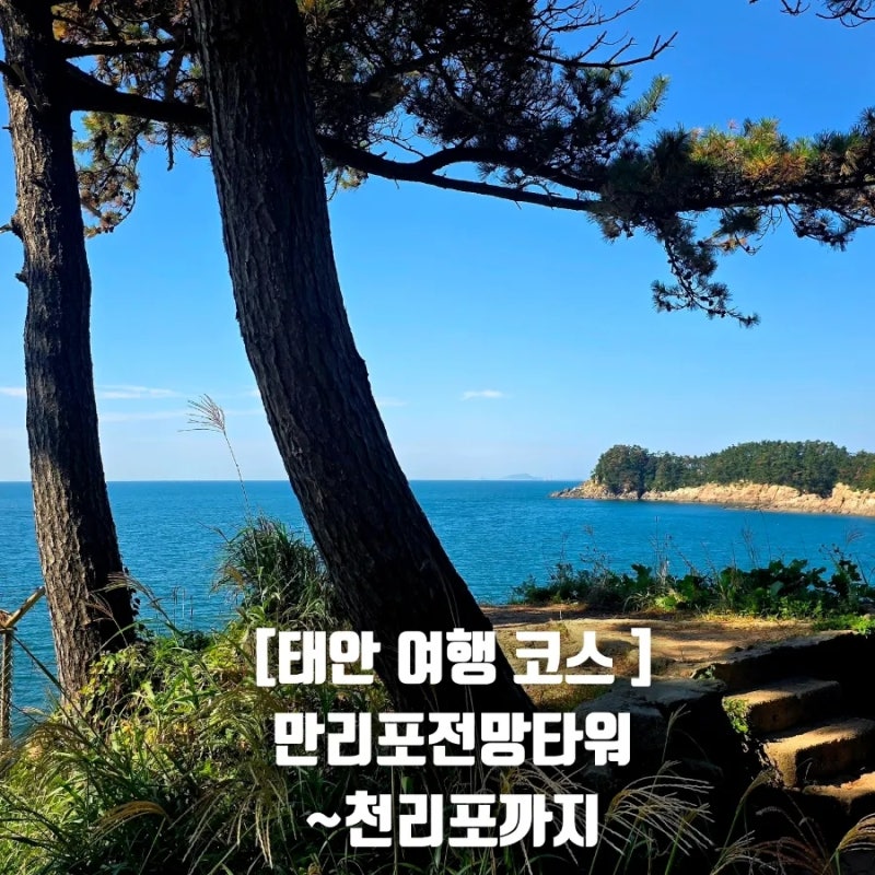 [태안 여행 코스]만리포 전망타워부터 뭍닭섬 산책로 | 천리포까지 걷는 길