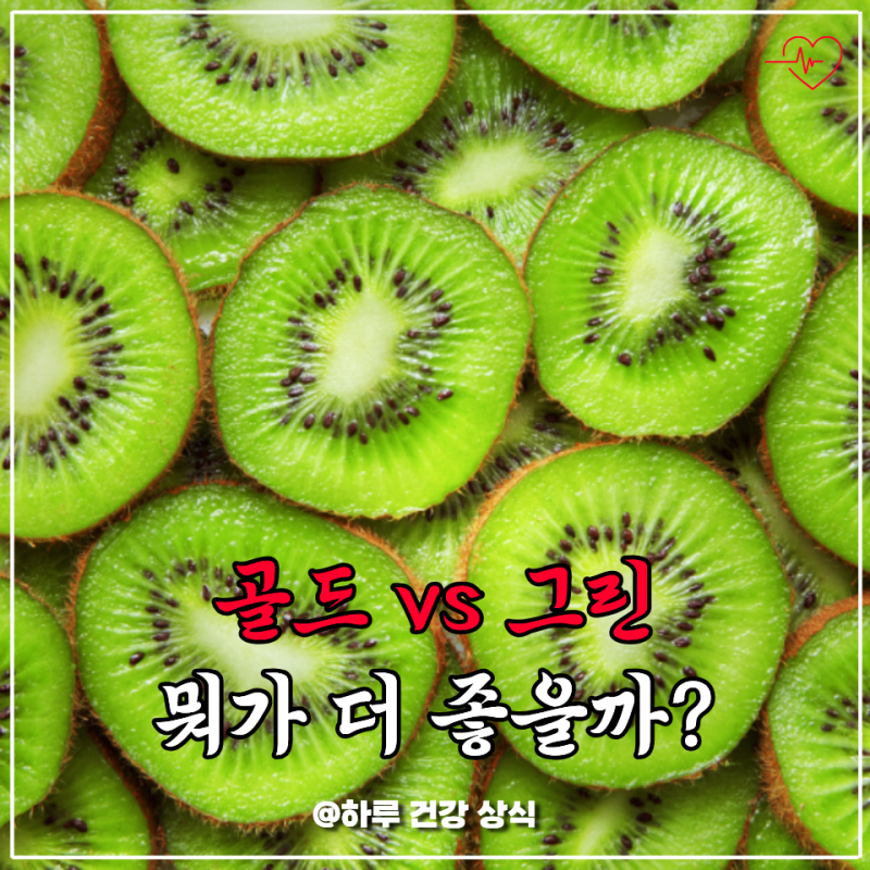 골드키위 그린키위 효능 차이, 혈당·변비엔 뭐가 더 좋은지 제대로 총정리