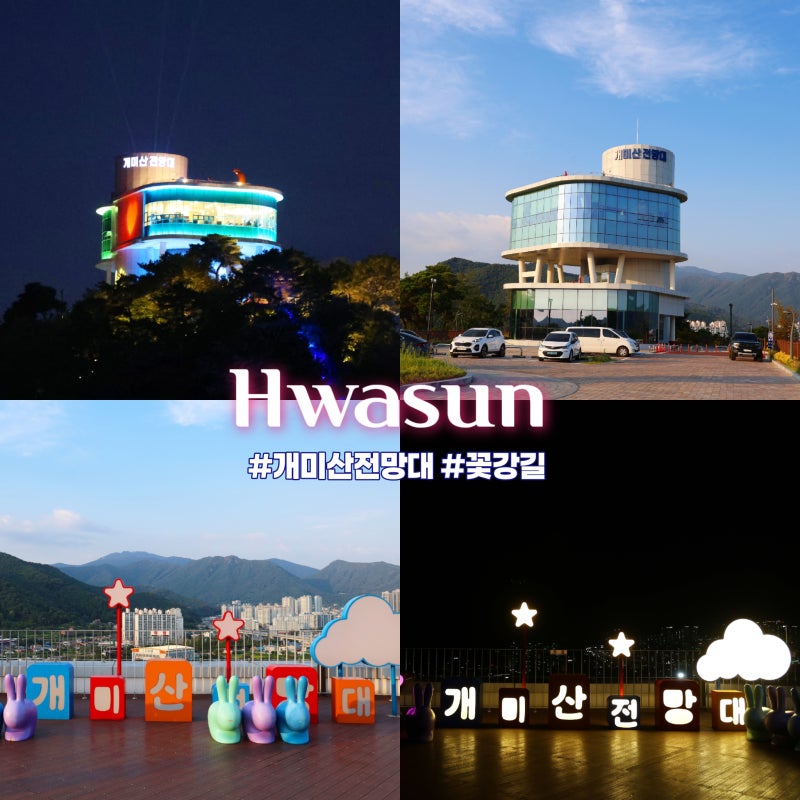 10월 국내여행지추천 광주근교나들이 화순가볼만한곳 야경명소 개미산 전망대 꽃강길