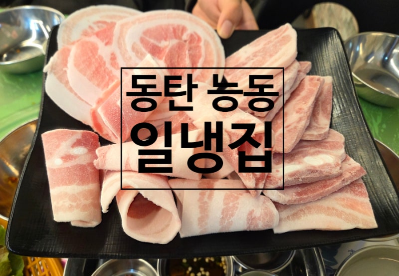 [동탄 능동] 일냉집 | 무한리필 셀프바가 있는 냉삼 동탄 가성비 맛집