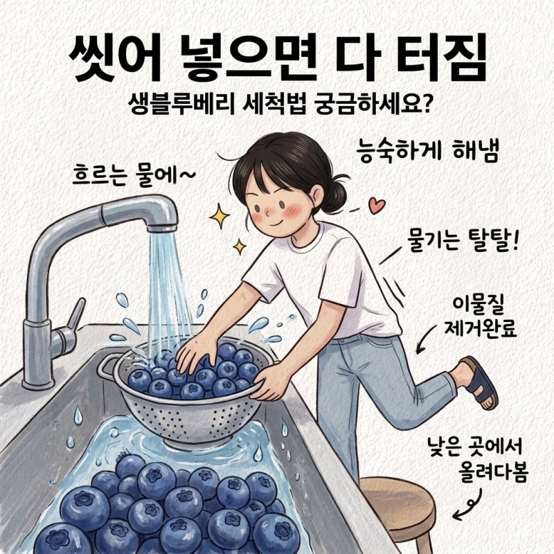 씻어 넣으면 다 터짐 생블루베리 세척법 보관법 보관기간 유통기한 냉동보관