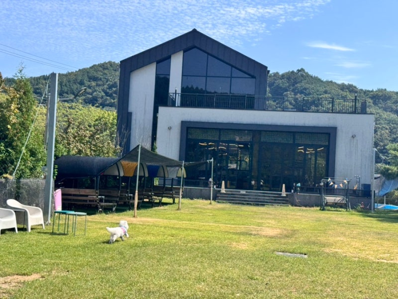 [ 바투 ] 세종애견운동장 세종애견카페 대전근교애견카페 공주근교애견카페 세종대형견애견....