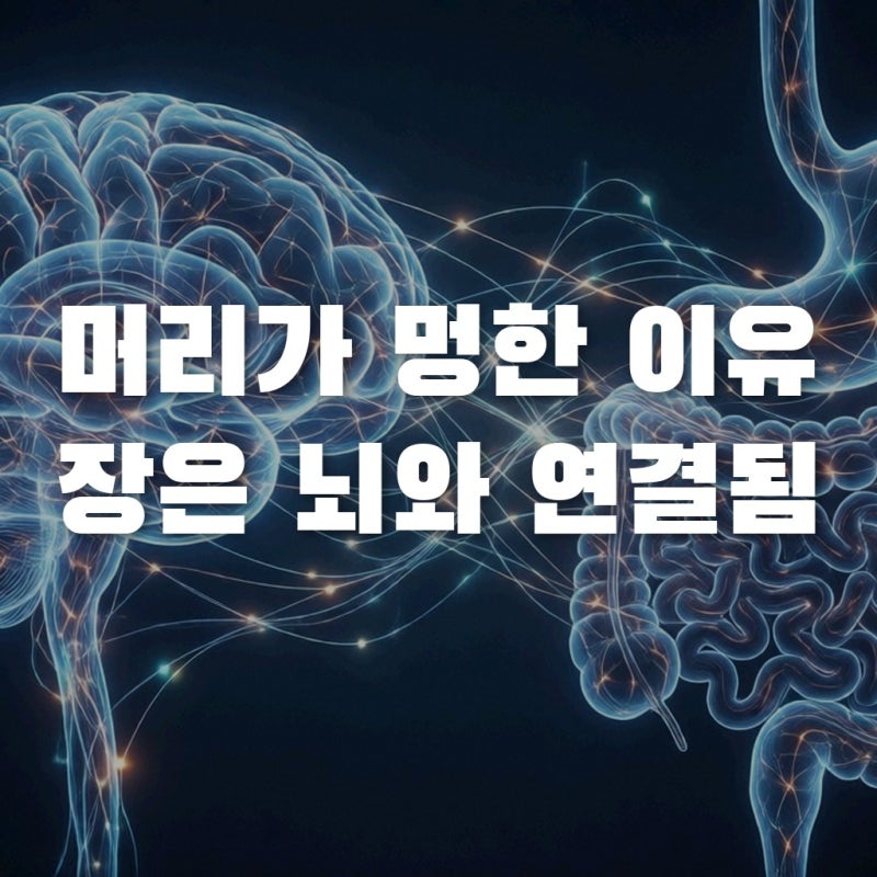 자꾸 머리가 멍한 브레인포그, 원인은 뇌가 아니라 장에 있다?
