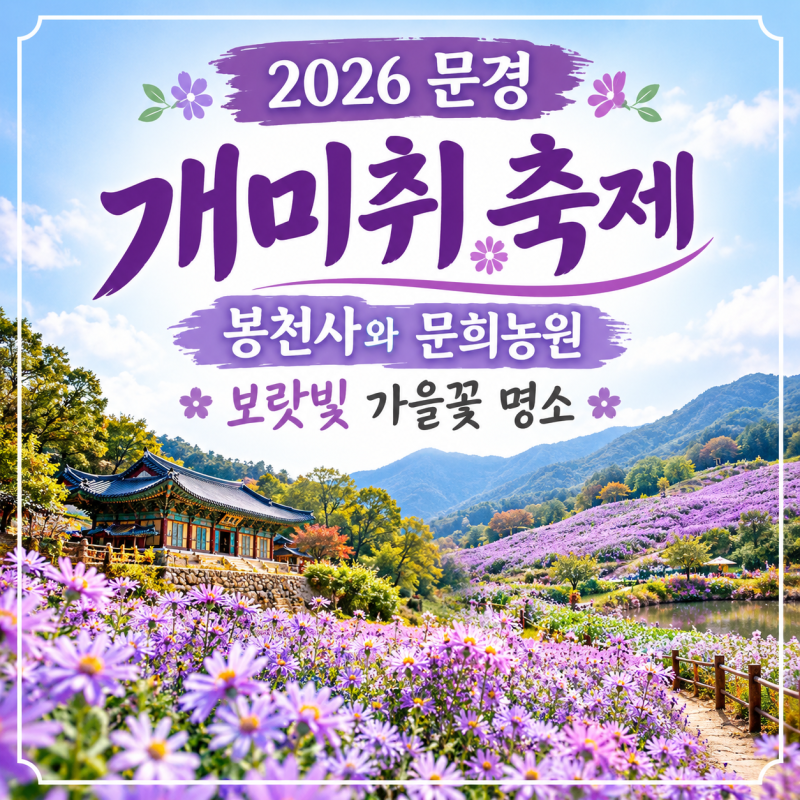 2026 문경 개미취 축제, 봉천사와 문희농원 보랏빛 가을꽃 명소
