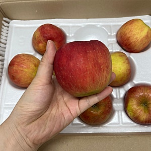 Tradenet 홍로사과 3kg, 가정용으로 즐기기 좋은 중대과 사과