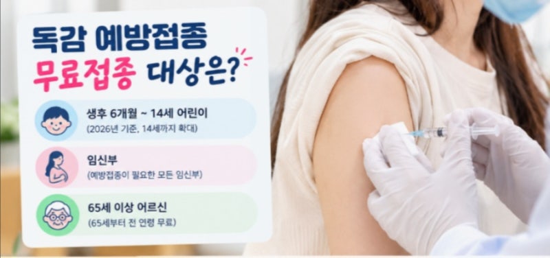 인천 독감 예방접종 무료 가격 시기 병원 비용, 무엇부터 확인할까?