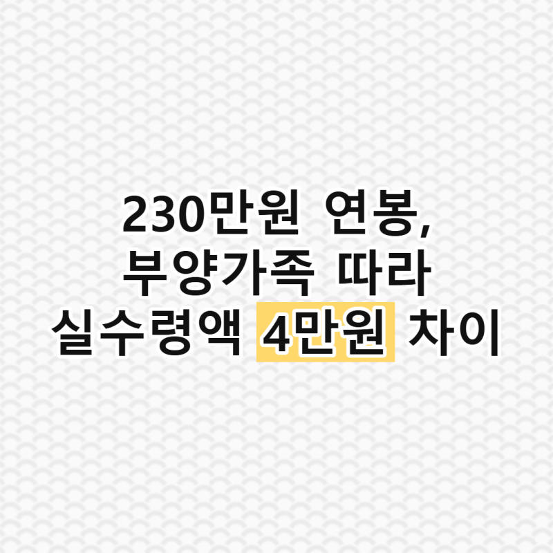 230만원 연봉 부양가족 1명 vs 3명, 실수령액 차이 4만원