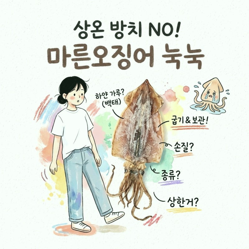 마른오징어 제대로 보관하고 손질하는 법, 굽는 법부터 상한 것 구별까지 정리