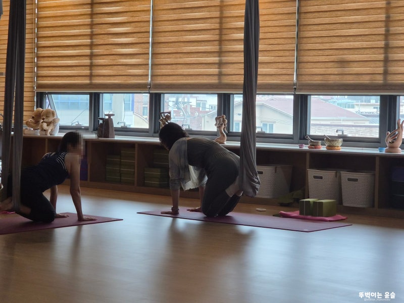 제주도체험 이색 요가 원데이클래스 쁘램요가 뚜벅이여행자도 갈만한곳