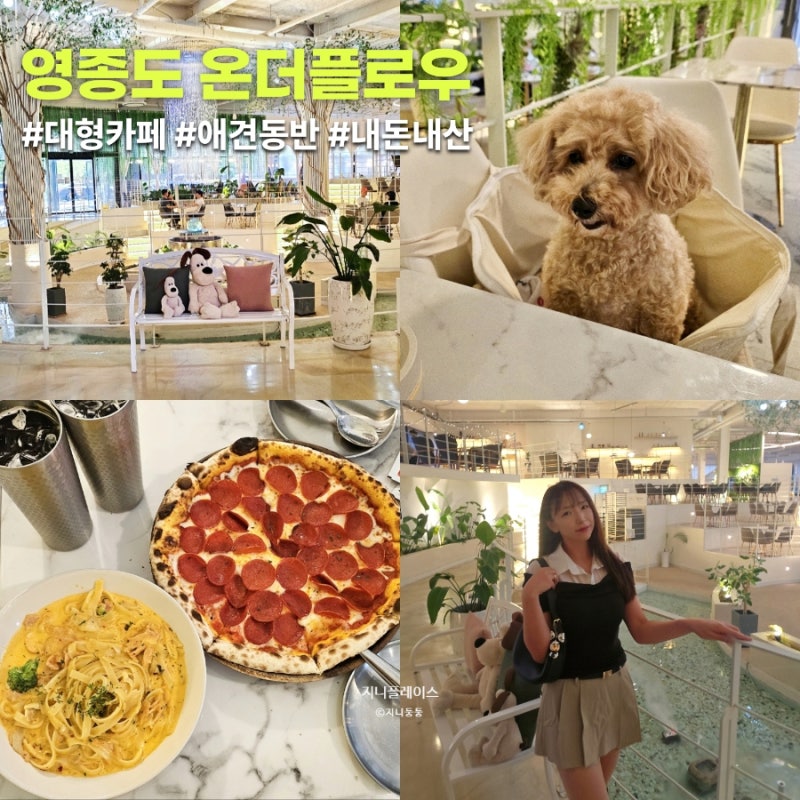 영종도 애견동반 대형카페 온더플로우｜파스타 화덕피자 맛집 애견동반 가능