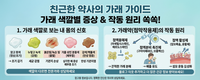 가래의 색깔별 구분과 가래약 종류