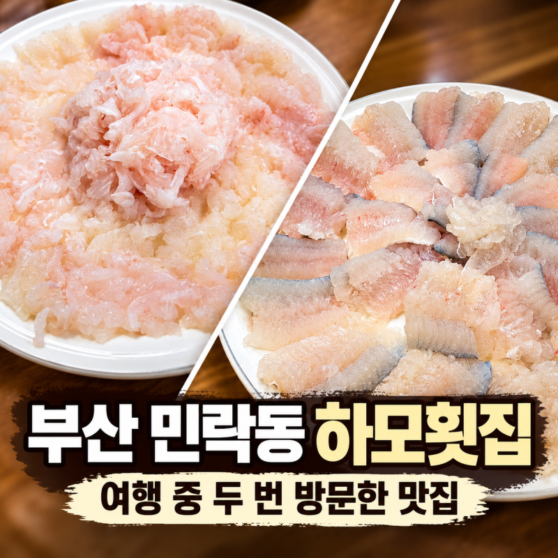 [부산]부산 민락동 맛집 하모횟집, 4박 5일 여행 중 두 번 방문한 하모회 맛집