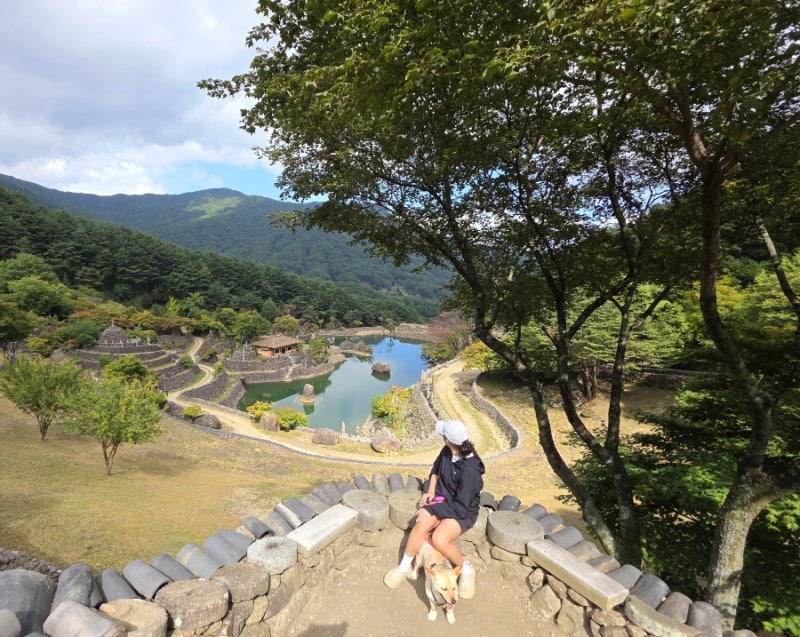 경남 하동 가볼만한곳 삼성궁 애견동반 여행