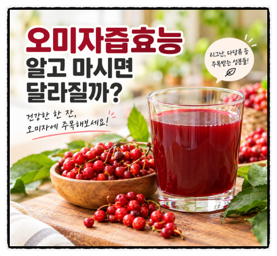 오미자즙효능 알고 마시면 달라질까