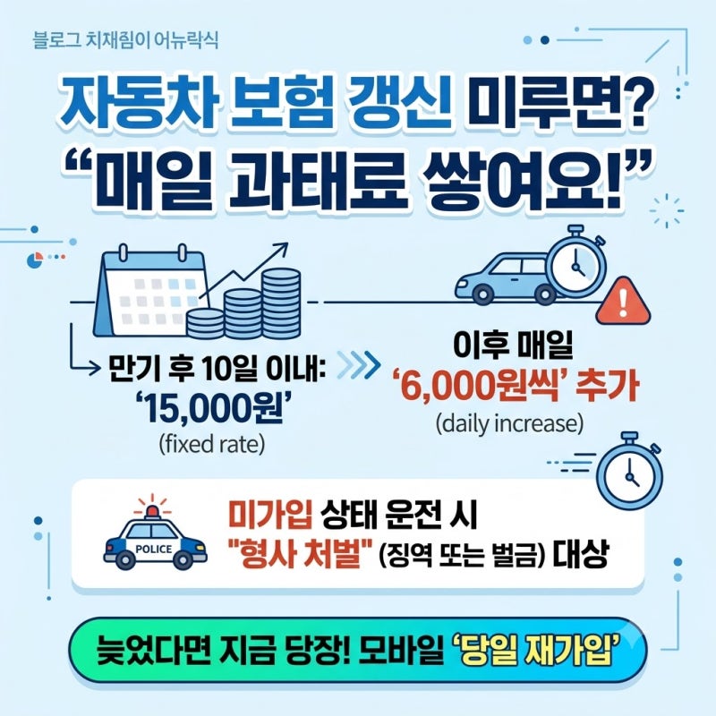 [1편] 자동차 보험 갱신 기간 놓치면 매일 쌓이는 과태료 얼마일까?