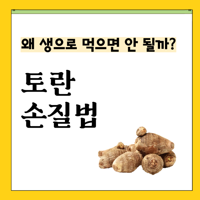 토란, 왜 생으로 먹으면 안 될까? 토란 효능 손질 독성 보관법