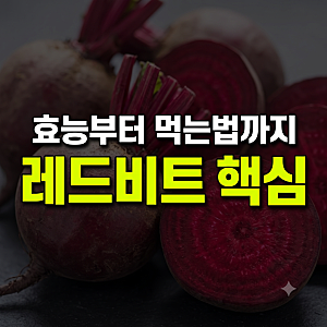 레드비트 효능과 맛있게 먹는 방법, 보관법 총정리
