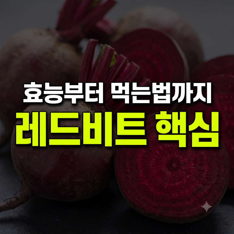 레드비트 효능과 맛있게 먹는 방법, 보관법 총정리