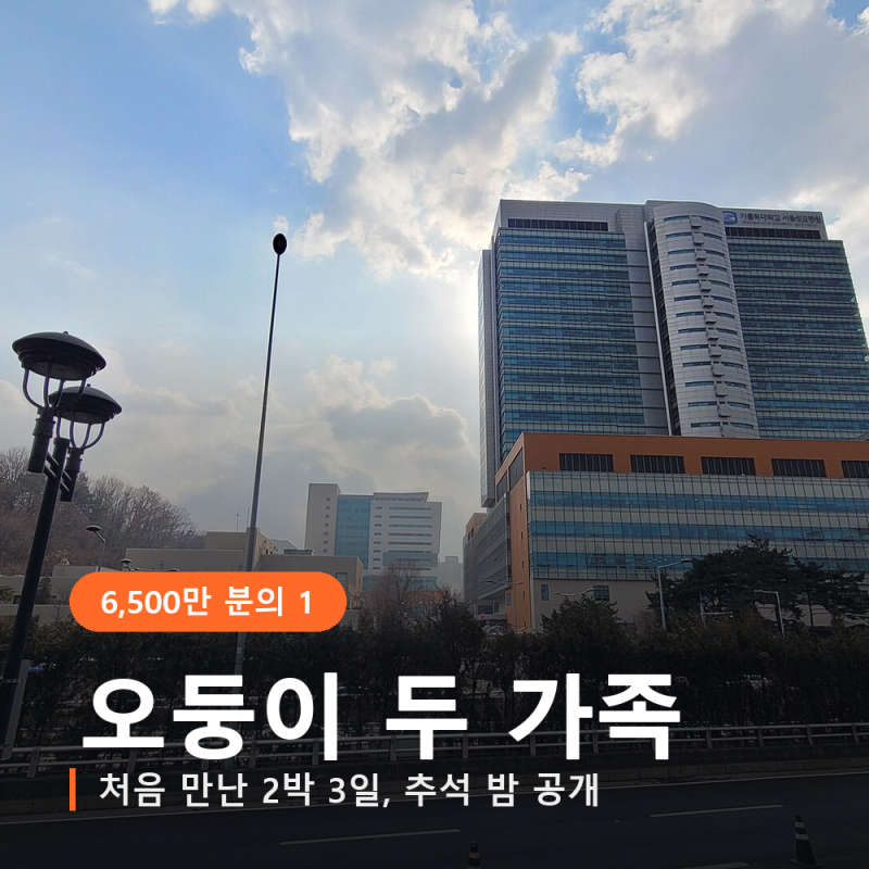 "그때가 좋았다고 말해주고 싶어요" 다섯쌍둥이 두 가족이 처음 만난 2박 3일, 추석 밤 8시 40....