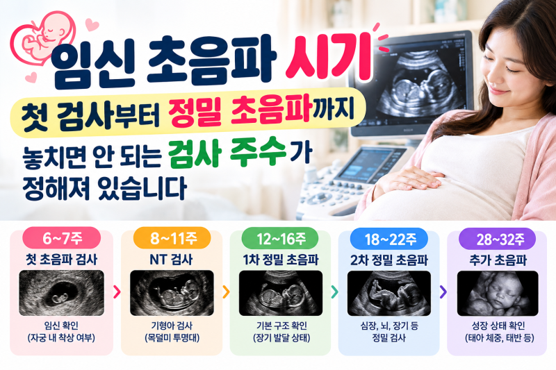 임신 초음파 시기 — 첫 검사부터 정밀 초음파까지, 놓치면 안 되는 검사 주수가 정해져 있습....