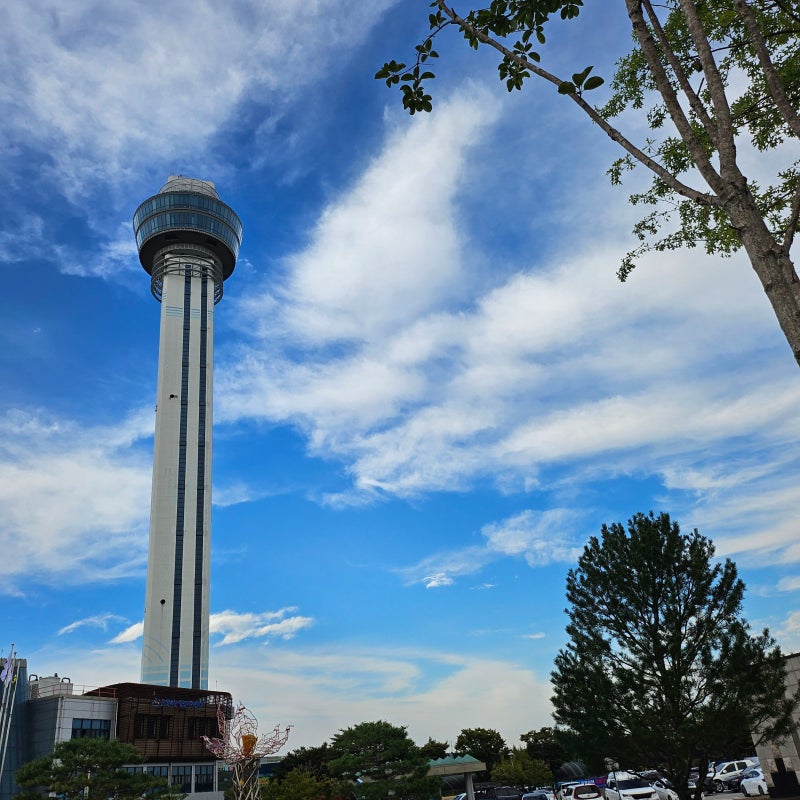 10 Places to Visit with Kids in Cheonan and Asan for the 2026 Chuseok Holiday