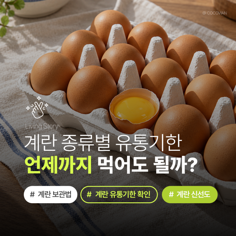 계란 유통기한 총정리! 삶은계란·구운계란 언제까지 먹어도 될까?