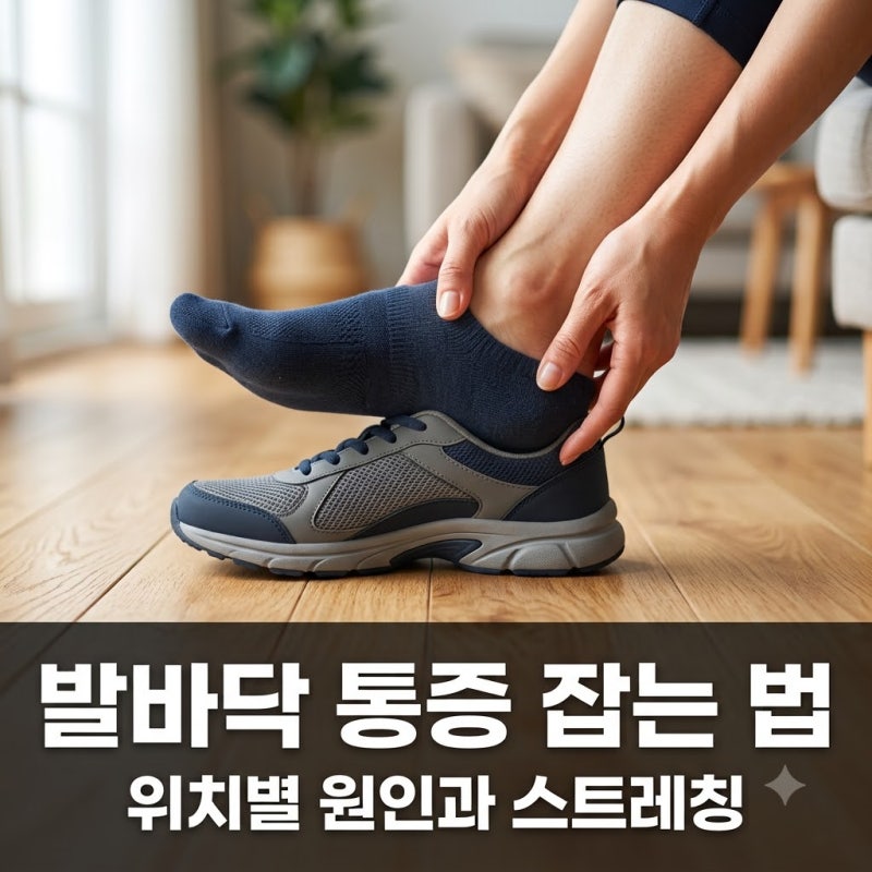 발바닥 통증 원인 6가지와 부위별 치료 스트레칭 완벽 가이드