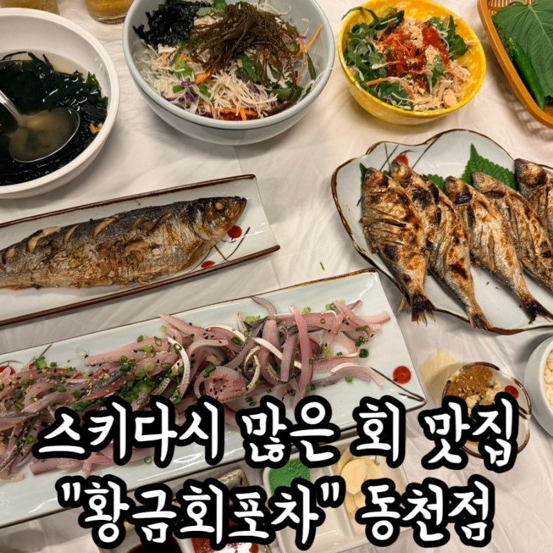 광주 동천동 전어 회 맛집 황금회포차 스키다시 많은 횟집