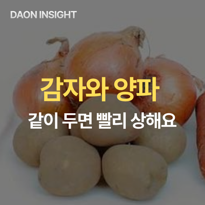 감자·양파 한 바구니에 두지 마세요｜둘 다 빨리 상해요, 감자는 10℃ 안팎 보관