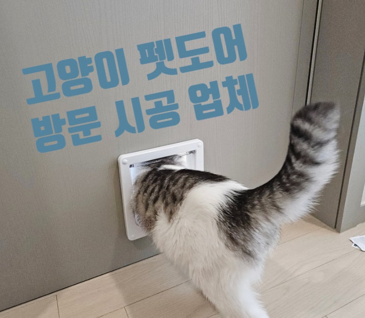 고양이 펫도어 설치 비용 베란다 방문 출입문 시공 업체
